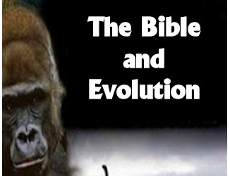 #99 The Bible and Evolution -Devos by Pastor Hollier
